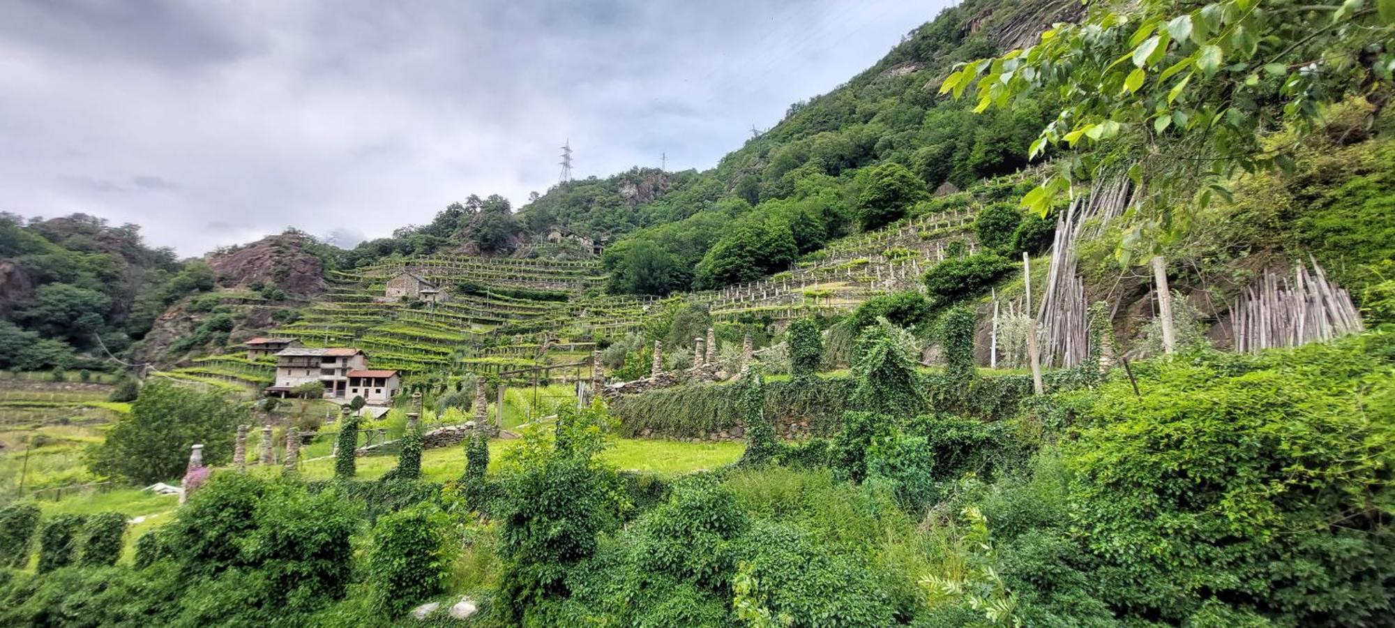 Relais Del Brigante Bed & Breakfast Settimo Vittone Exterior photo