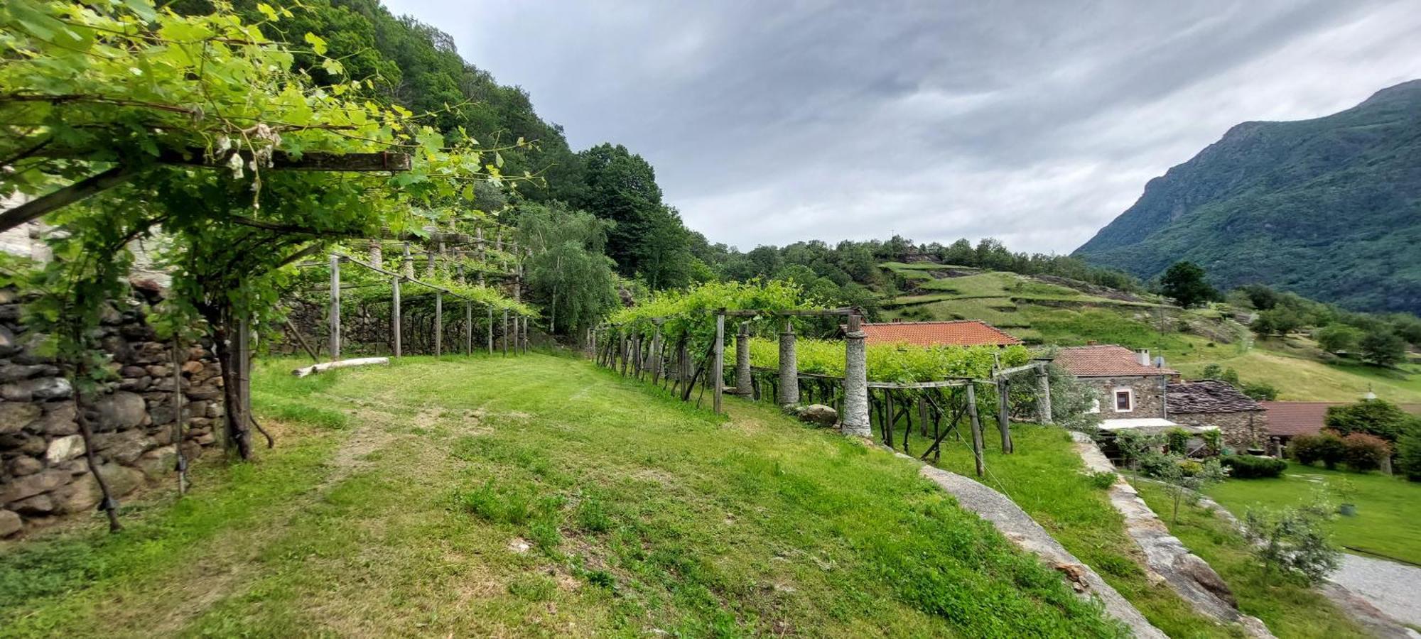 Relais Del Brigante Bed & Breakfast Settimo Vittone Exterior photo