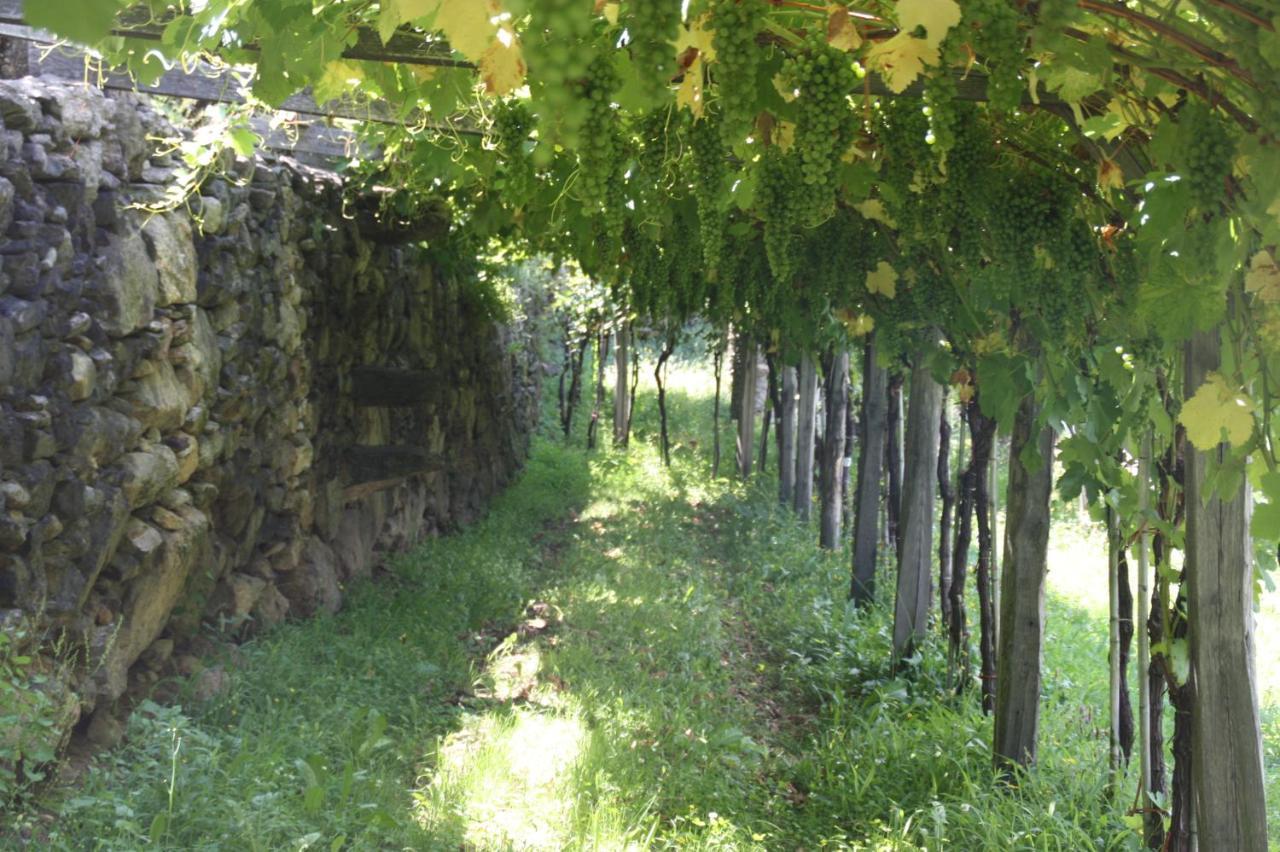 Relais Del Brigante Bed & Breakfast Settimo Vittone Exterior photo