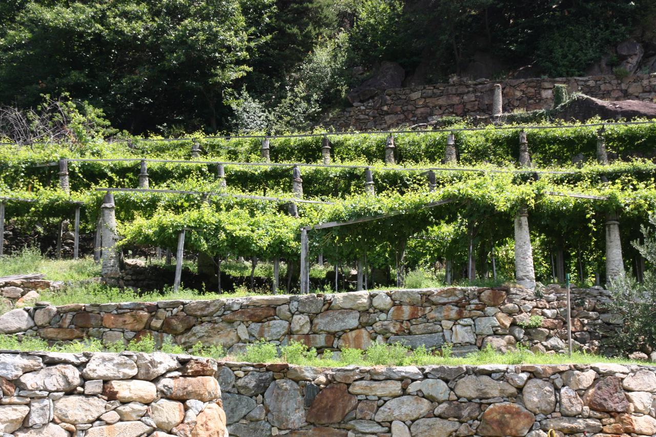 Relais Del Brigante Bed & Breakfast Settimo Vittone Exterior photo